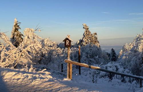 Ferienwohnung Beyer Friedrichroda - Foto 43