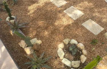 La Quinta da Liberdade - Ferme de charme en Algarve - Foto 48