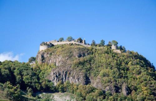 Studio im Grünen und Bodenseenähe - Foto 23