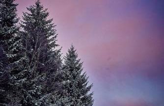 Blickinsfreie - Cabin - Foto 15