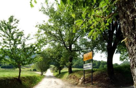 Valle Rosa - Photo 70