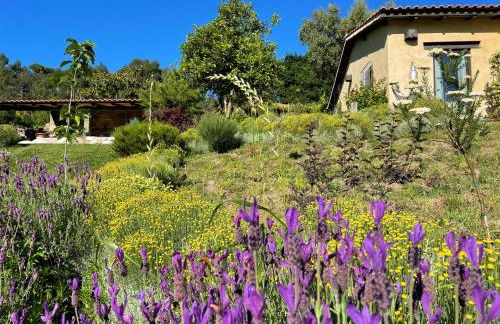 Casa de Vilar de Rei, férias em família com piscina - Foto 29