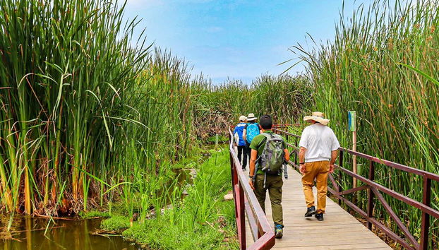 Explore the Pantanos de Villa