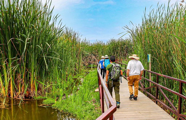 Pantanos de Villa Day Trip - Foto 2