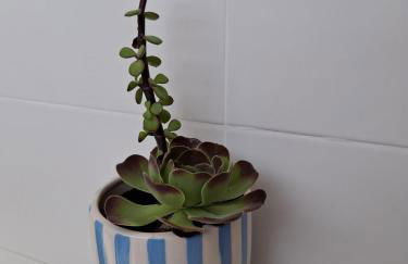 Casinha do Chico - Foto 54