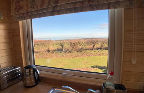 The Cedar Tiny House - Photo 9