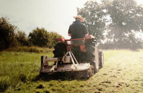 Forsthof Niendorf - Foto 40