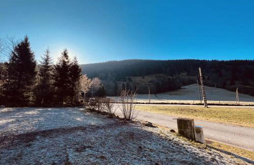 BEAUTIFUL CHALET in nature near Gerardmer! - Foto 29