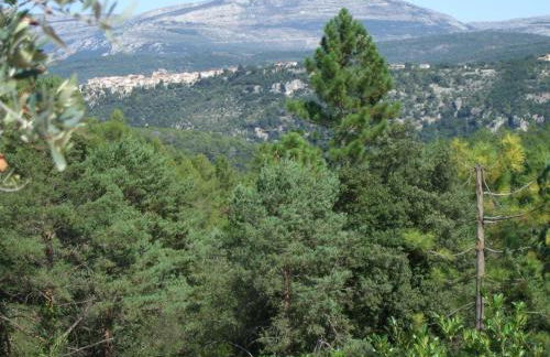 Villa Verdi - Foto 56