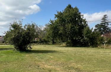 Maison Vigneronne - Stay on a vineyard, in the winegrowers cottage - Foto 26