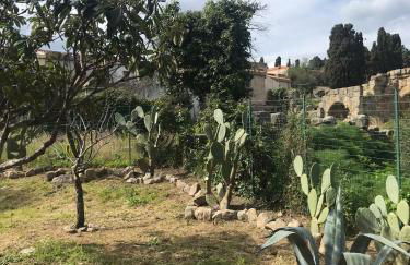 Bouganville in Villa Greco - Foto 76