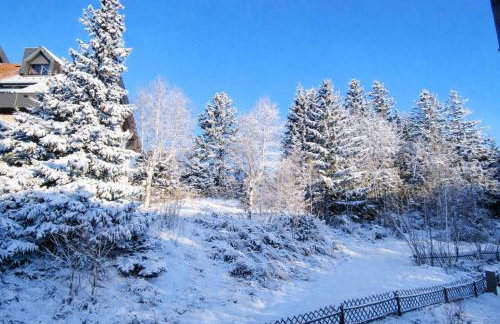 FreiRaum Panorama-Appartement mit Pool & Sauna - Foto 11