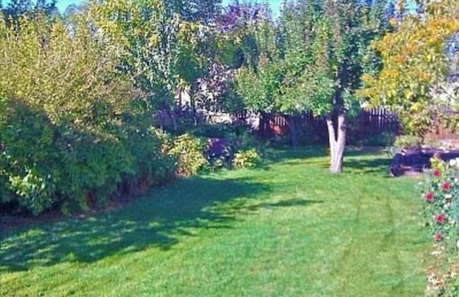 Downtown House with a Big Back Yard - Photo 16