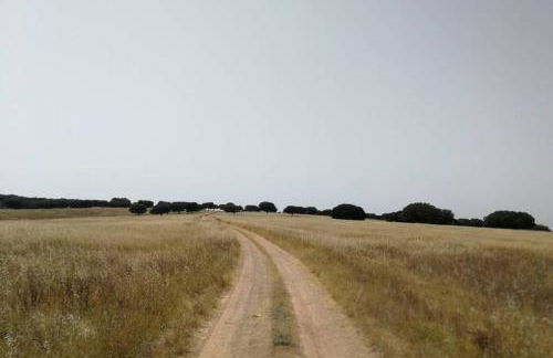 Monte do Arneiro - Foto 56