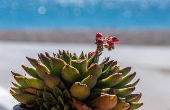 Glaros Kouremenos - Photo 41