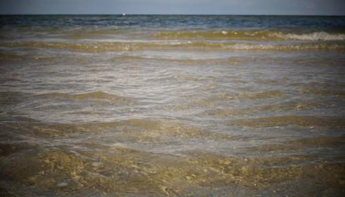 Ferienwohnung Ilsebill - Foto 5