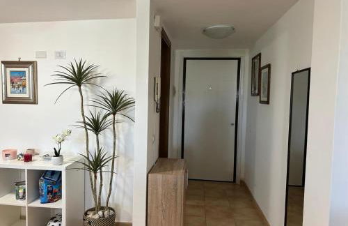 Aba Gianola - Foto 2