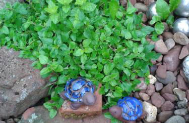 Ferienwohnungen wie im Süden Großostheim - Foto 74