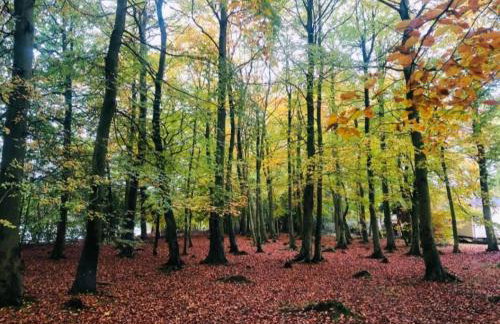 Ash Retreat Hot Tub - Foto 37