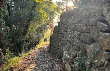 La casina fra gli oleandri - Foto 20