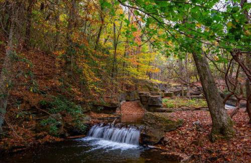 Retreat at Lake Sconti - Foto 39