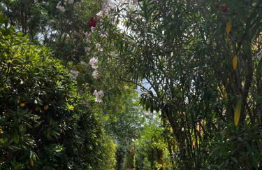 Attico aMare Costa Rei - 100m dalla spiaggia - Foto 28