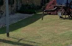 La Petite Ecurie - Foto 11