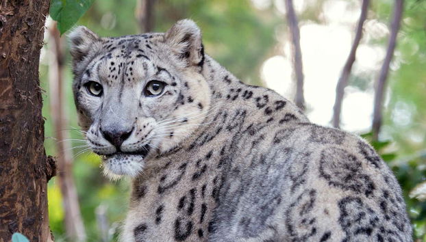 Central Park Zoo Tickets - Foto 2