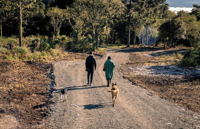 Sítio Mar de Nuvens Chalés de Luxo - Photo 68