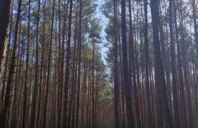 Stodoła HOME&CHILL - Foto 76