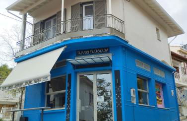 EAR - house Karia Lefkada - Photo 10