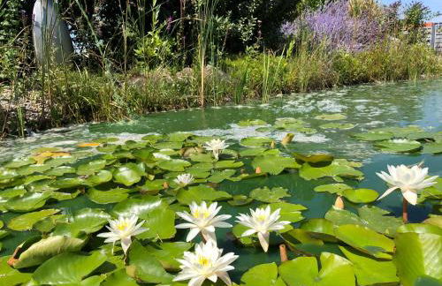 Ferienwohnung Vogesenblick - Foto 7