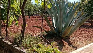 Il Trullo E Il Fortino - Foto 3