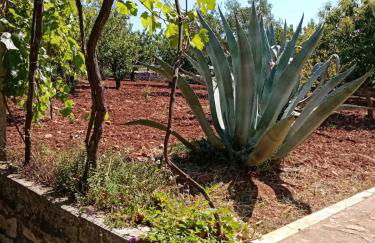 Il Trullo E Il Fortino - Foto 3