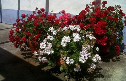 Courela do Salgueiro - Foto 31