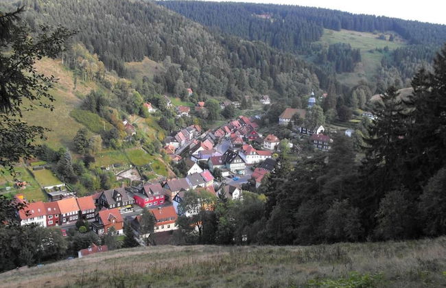 Apartment in Wildemann Near Hahnenklee Ski Area - Foto 31