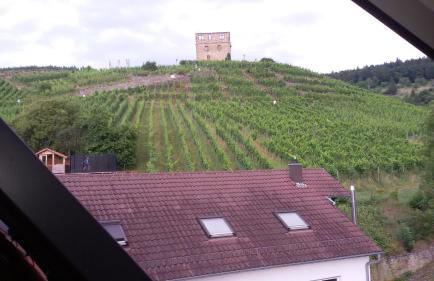 Giebelzimmer mit Weinbergblick - Foto 15