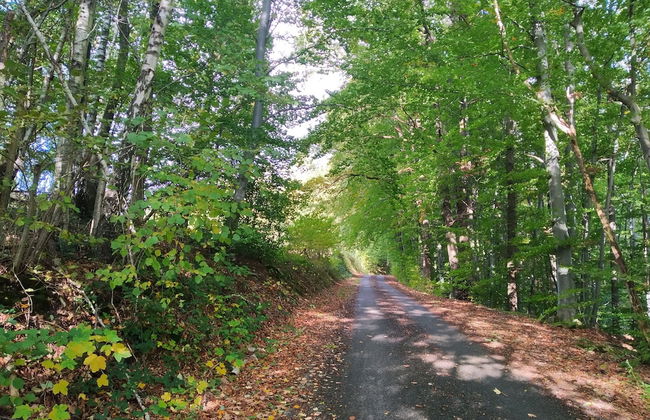 La Grange de David - Foto 47