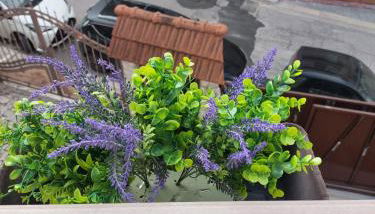 La Dea Busa - Foto 3