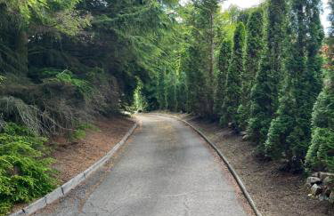 Craig Cottage - Photo 11