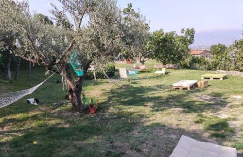 Agriturismo Etico Le Grazie - Foto 46