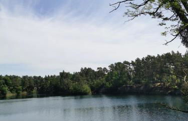 Waldbungalow mit WLAN und Terrasse in Seenähe-Hund willkommen - Foto 23