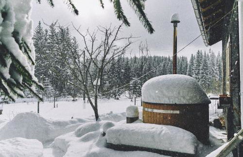 Blickinsfreie - Cabin - Foto 21