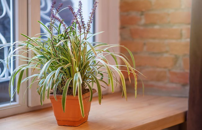 H&B apartments Beridze - Foto 40