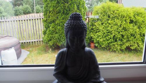 Sielska Oaza - siedlisko wiejskie z domem całorocznym - Foto 5