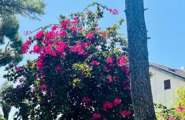 Villa GREG stupenda casa sulla spiaggia con accesso diretto al mare - Foto 79