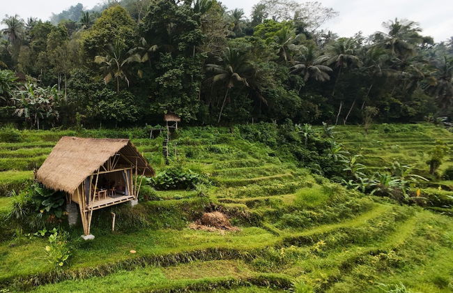 Sandag hill - Foto 12