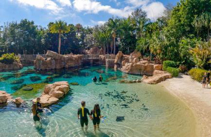 Mario Manor Heated Pool King Bed Game Room Near Disney - Foto 42