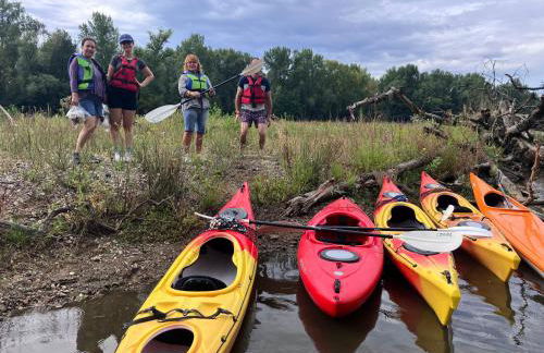 Charmant F1 avec terrasse et vue sur jardin arboré - fraicheur naturelle du rez de jardin - parking - Foto 16