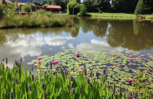 GITE LES ECUREUILS - Foto 12